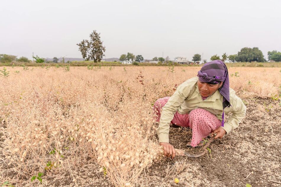 Mujeres agricultoras